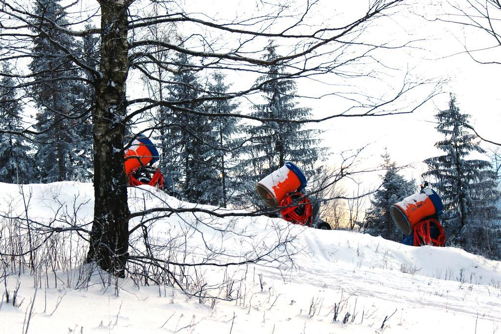 Pensjonat Zielone Wzgorze Boleslawow Stronie Śląskie Kültér fotó